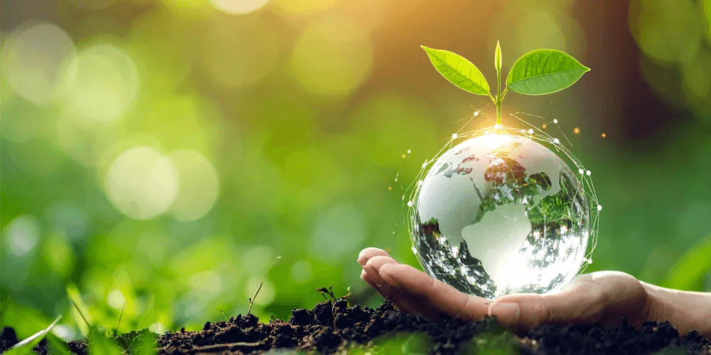 ESG – Empresas aliam tecnologia e sustentabilidade \ Areco